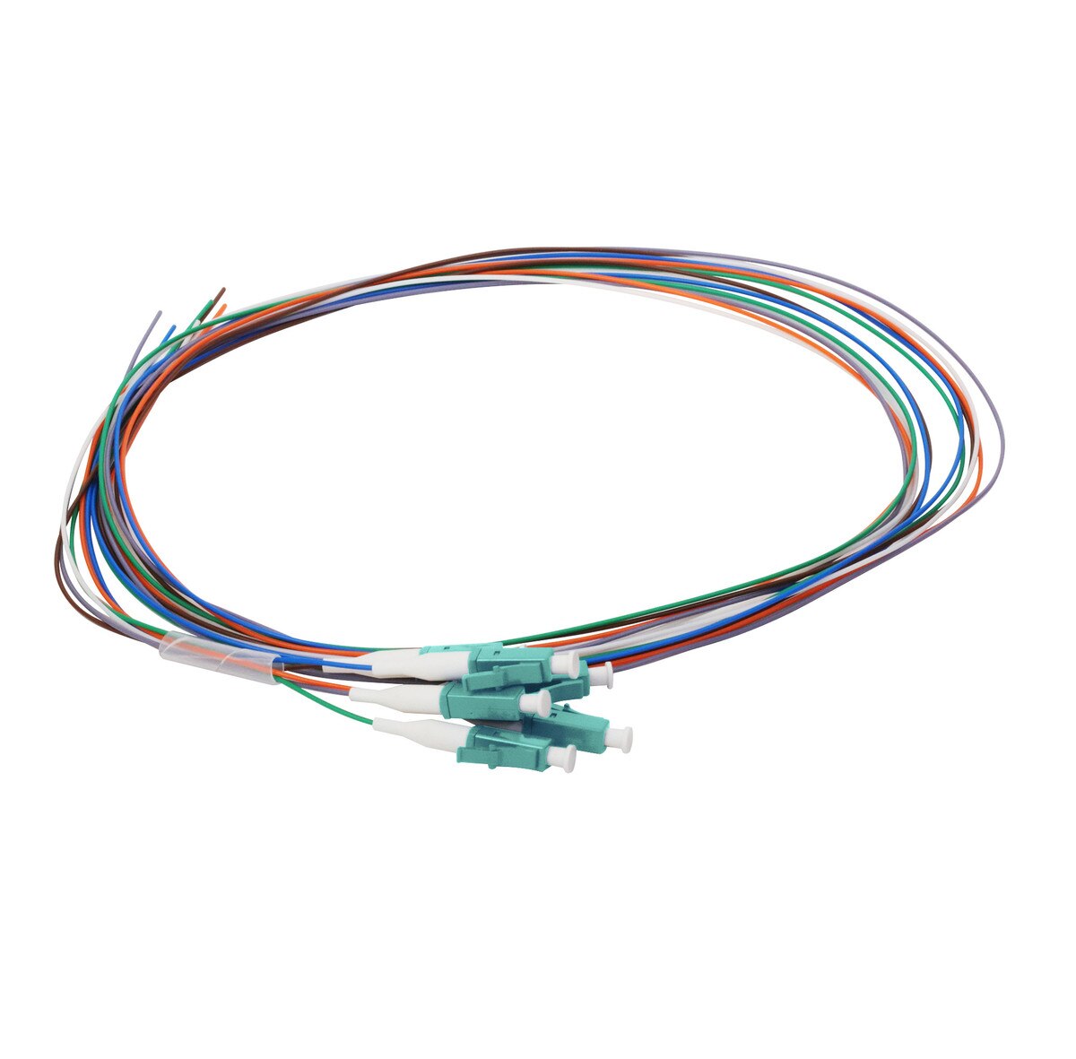 6 Fiber Pigtail, LC/UPC, 900 µm, 50 µm OM3-4, 1m